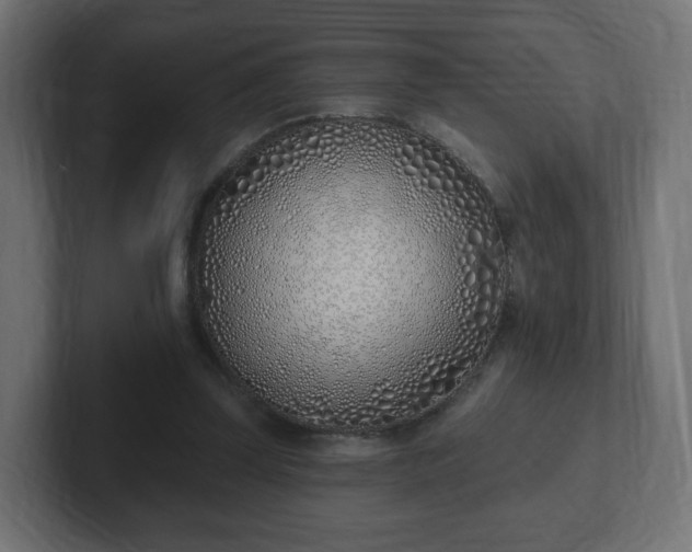 X0000103170347200808291515