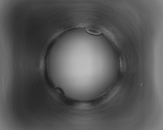 X0000103170348200808291515