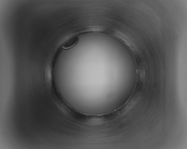 X0000103170350200808291515