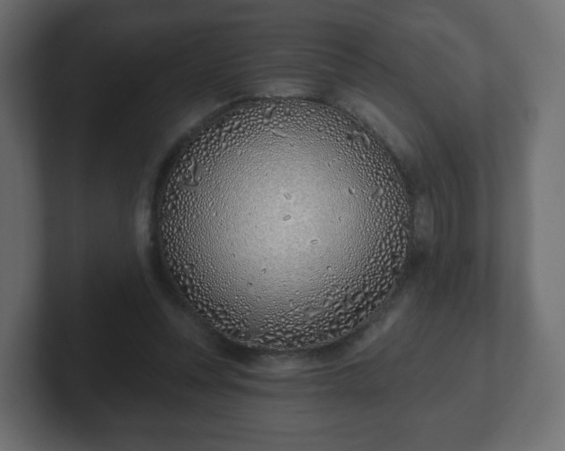 X0000103170351200808291515