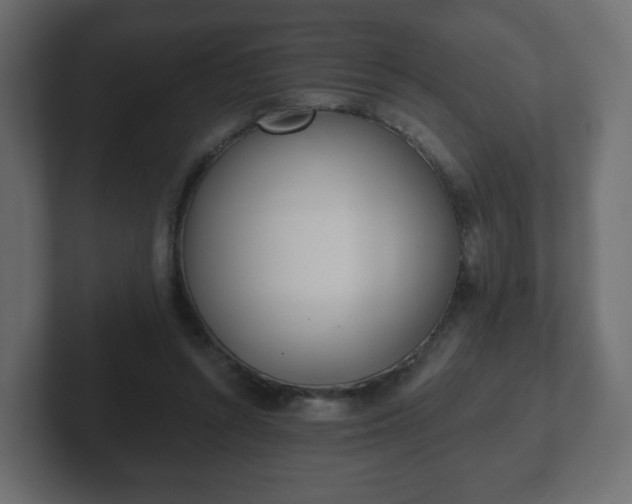 X0000103170352200808291515