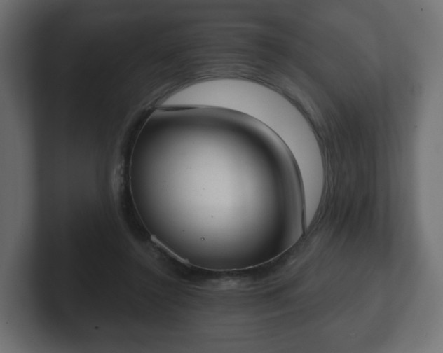 X0000103170356200808291515