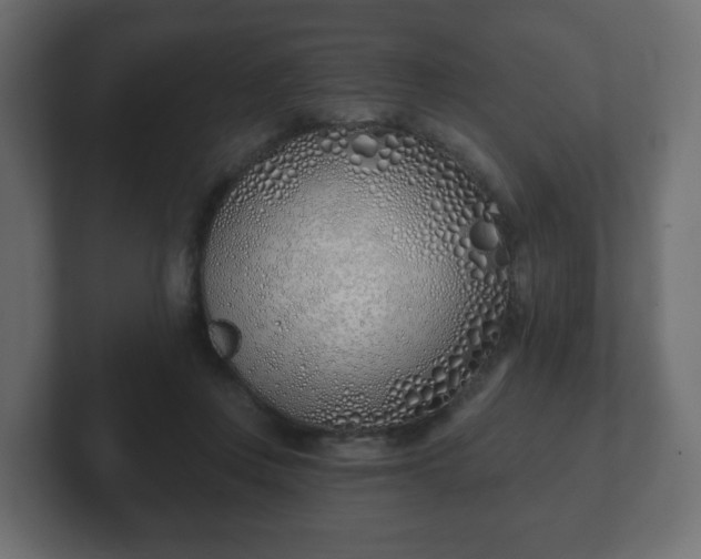 X0000103170359200808291515