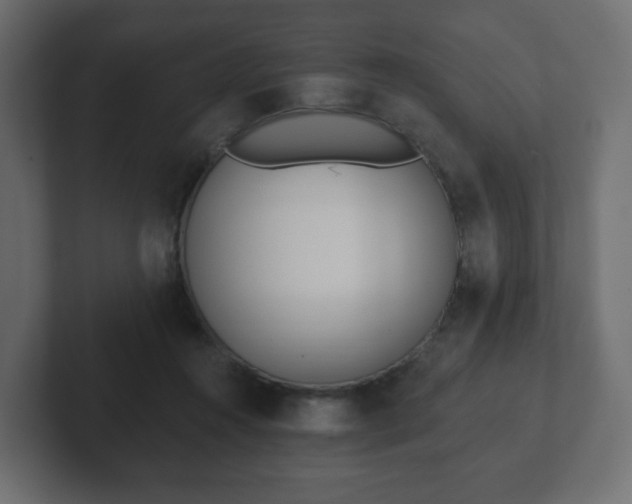 X0000103170360200808291515