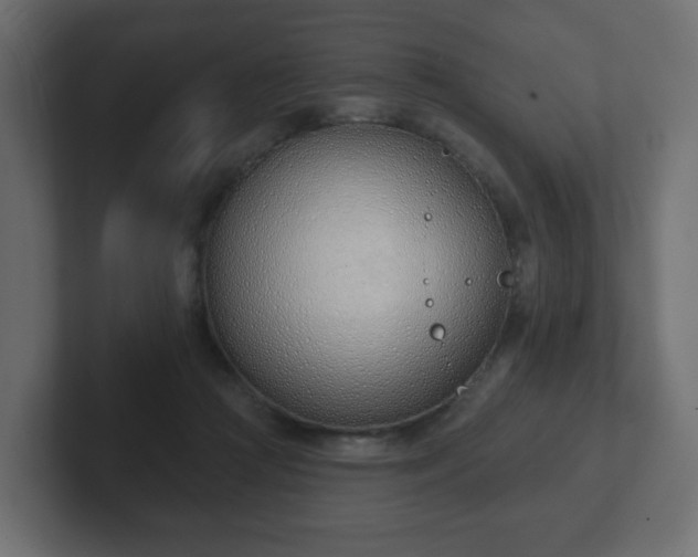 X0000103170361200808291515