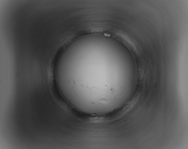 X0000103170362200808291515