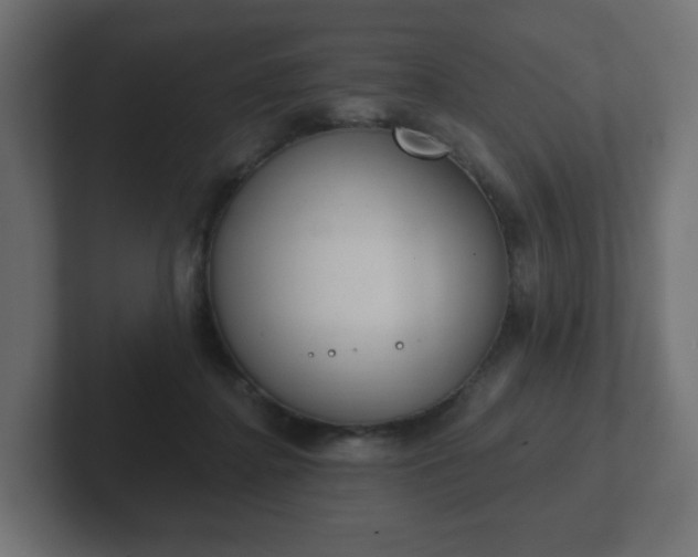 X0000103170364200808291515