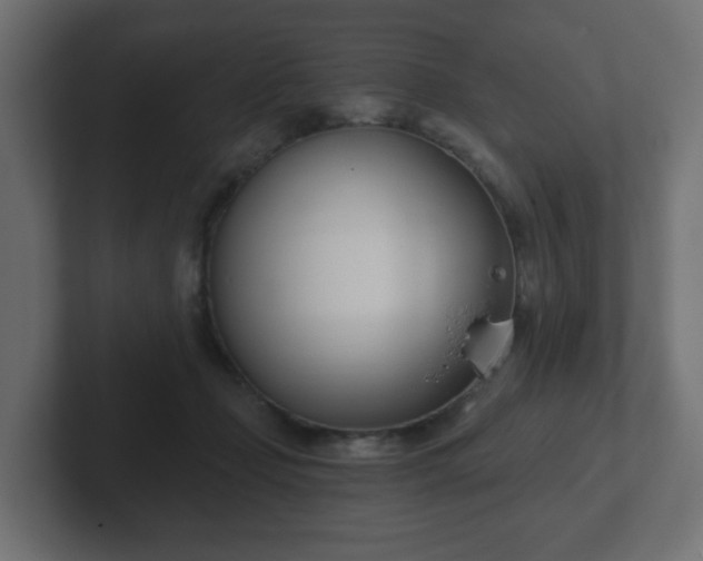 X0000103170365200808291515