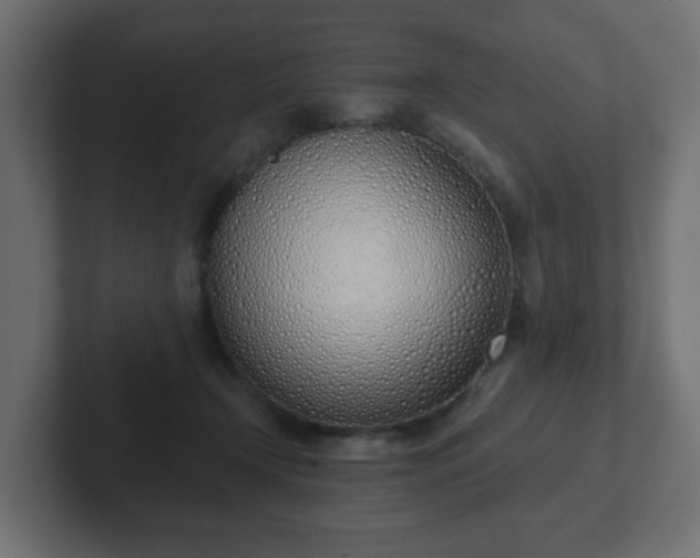 X0000103170366200808291515