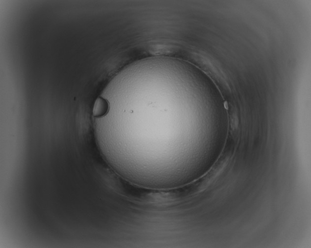 X0000103170367200808291515