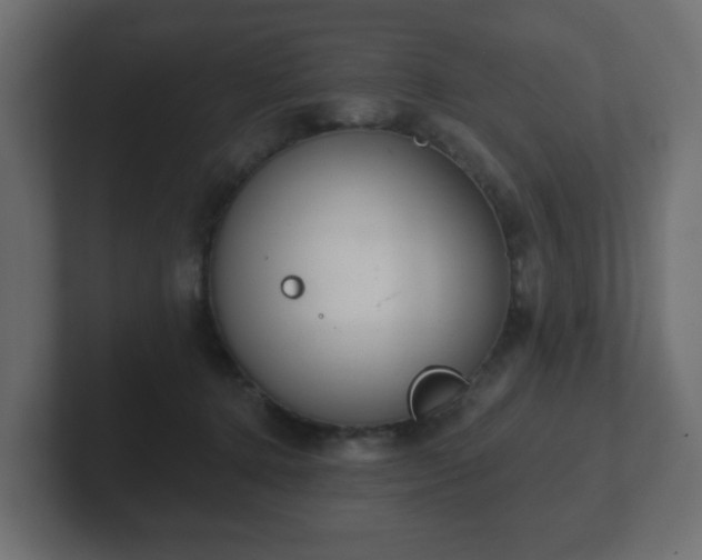 X0000103170368200808291515