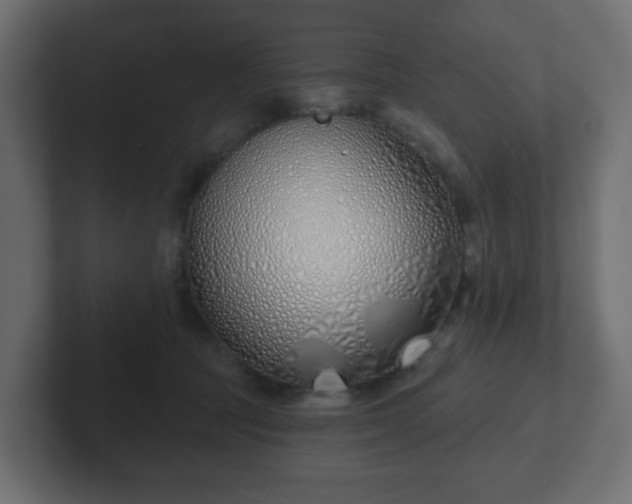 X0000103170369200808291515