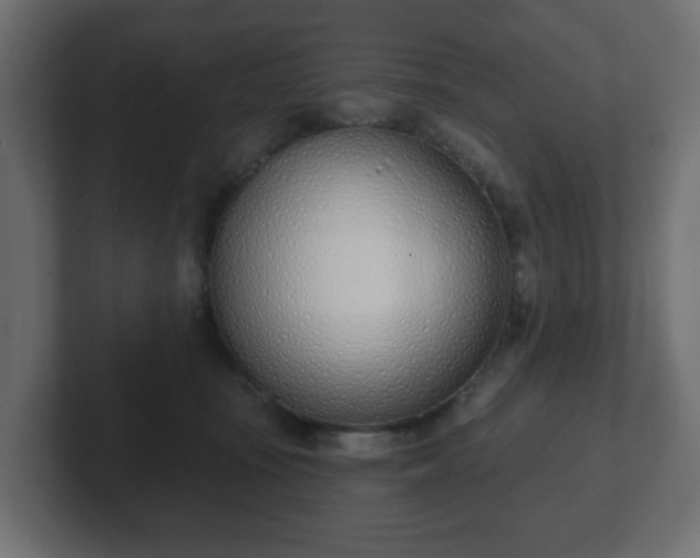 X0000103170371200808291515