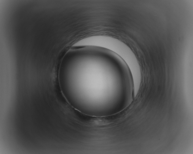 X0000103170372200808291515