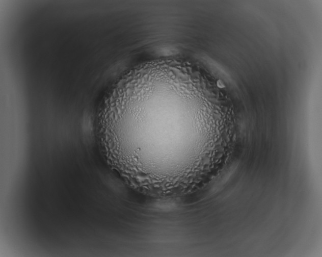 X0000103170373200808291515