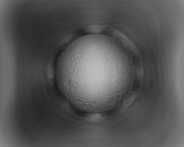 X0000103170374200808291515