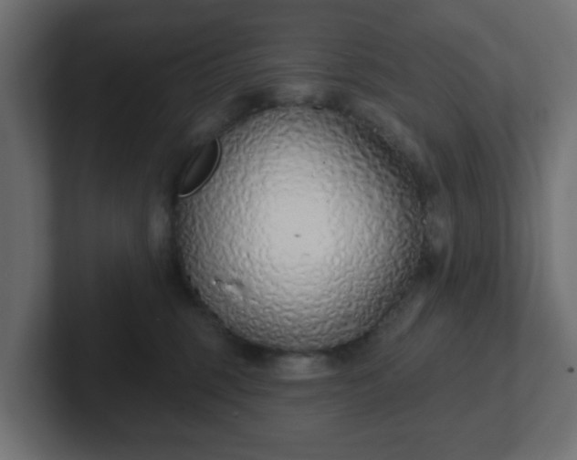 X0000103170375200808291515