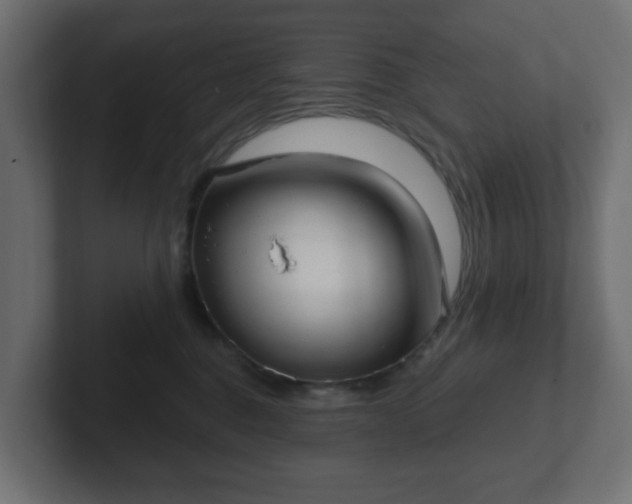 X0000103170376200808291515