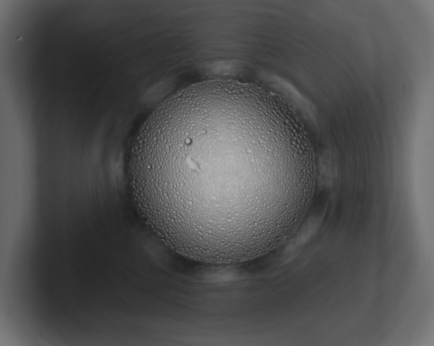 X0000103170377200808291515