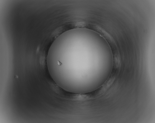 X0000103170379200808291515