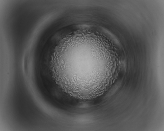 X0000103170381200808291515