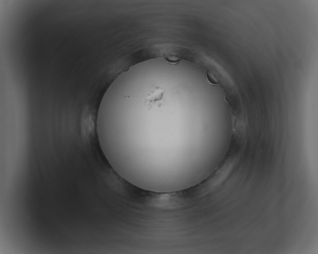 X0000103170382200808291515