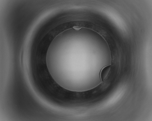 X0000103170383200808291515