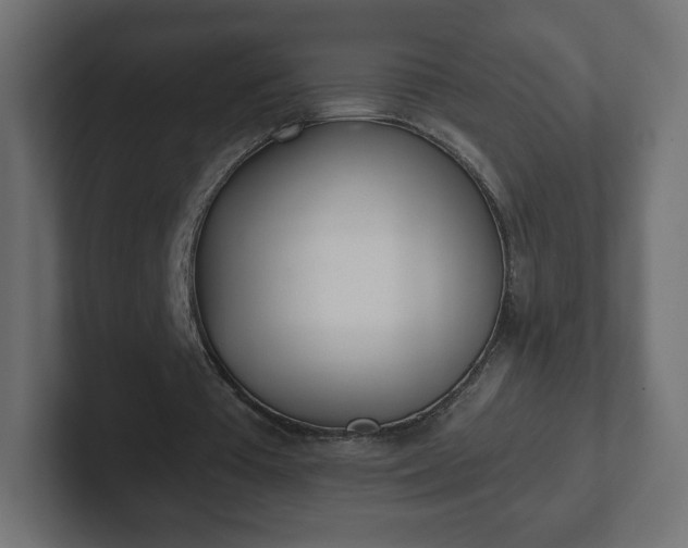 X0000103170385200808291514