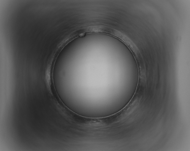 X0000103170386200808291514