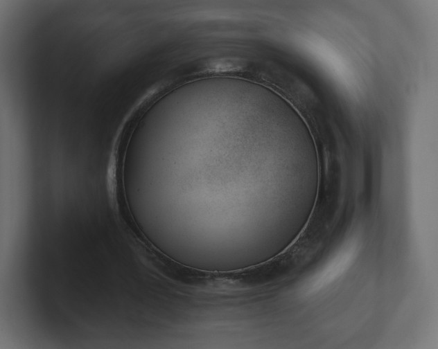 X0000103170387200808291514