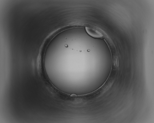 X0000103170388200808291514