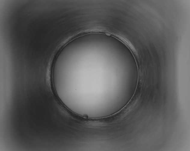 X0000103170389200808291514