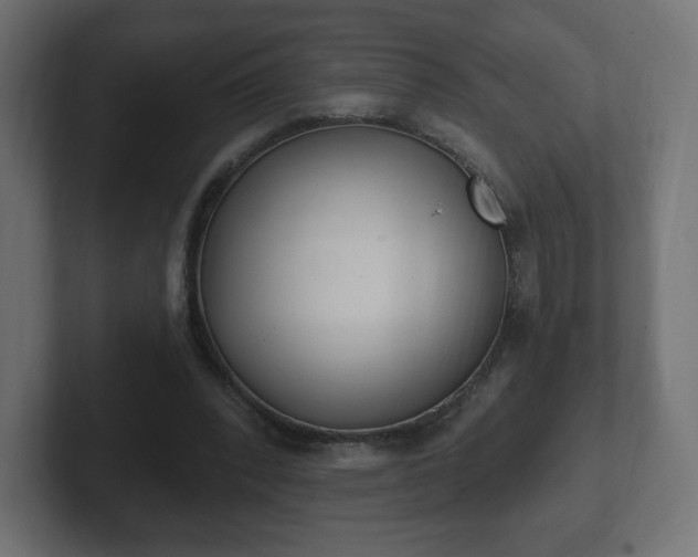 X0000103170392200808291514