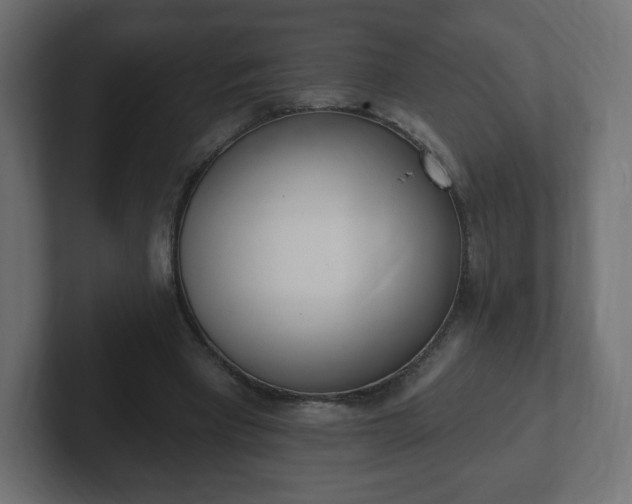 X0000103170393200808291514