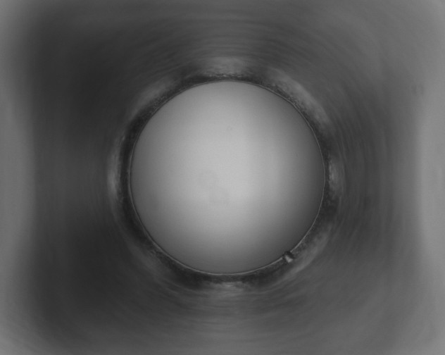 X0000103170396200808291514