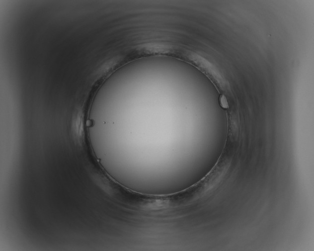 X0000103170398200808291514