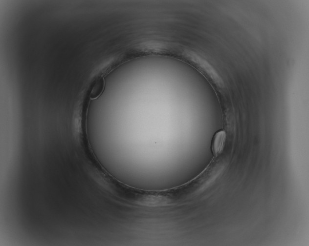 X0000103170399200808291514