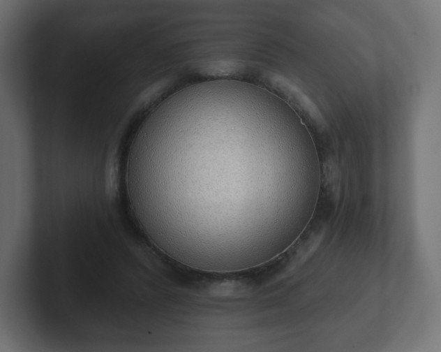 X0000103170400200808291514