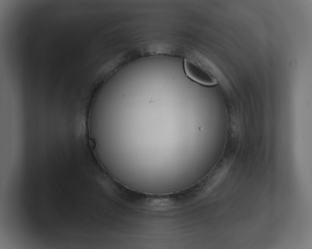 X0000103170401200808291514