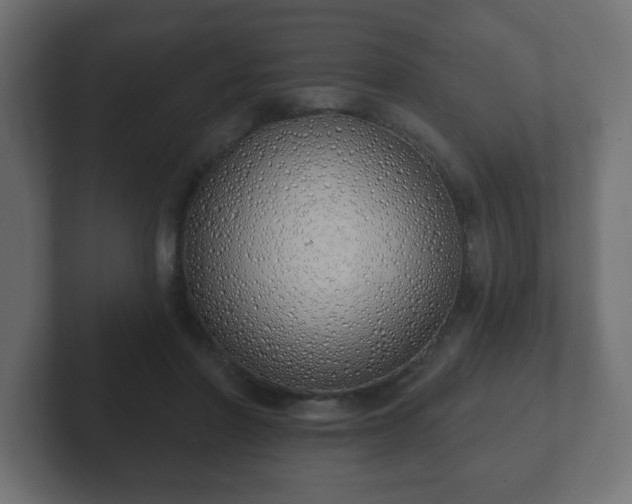 X0000103170406200808291514