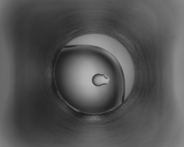 X0000103170409200808291514