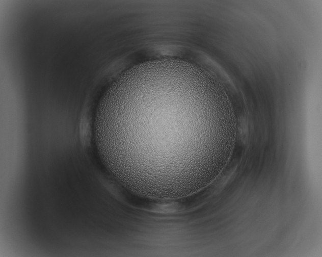 X0000103170410200808291514