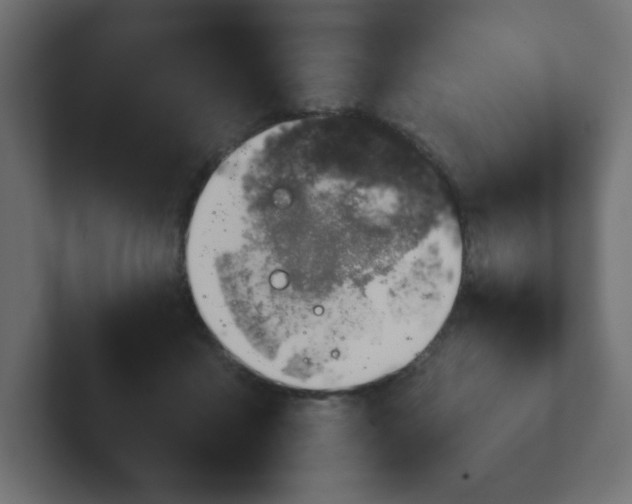 X0000103170411200808291514