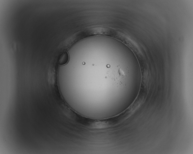 X0000103170413200808291514