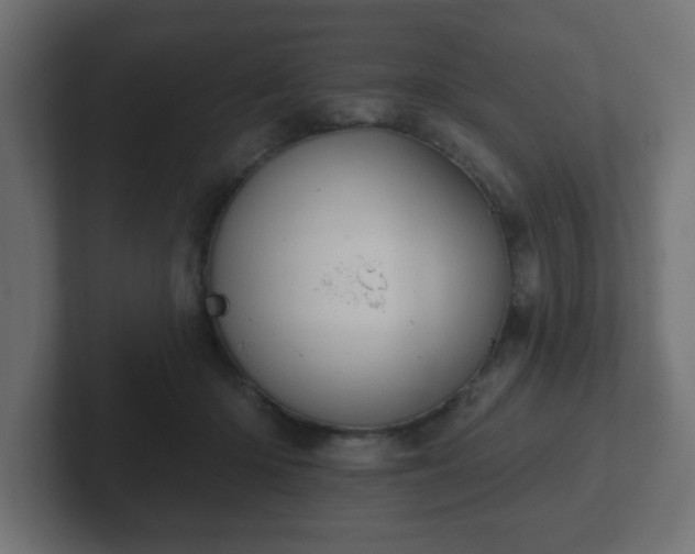 X0000103170414200808291514