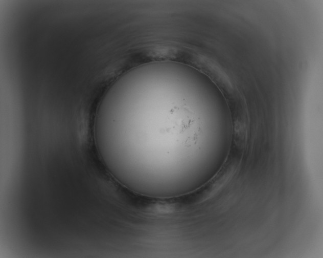 X0000103170416200808291514