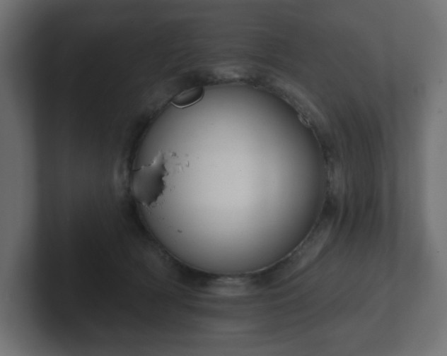 X0000103170418200808291514