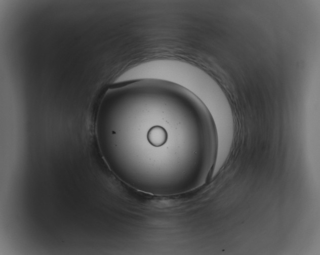 X0000103170419200808291514