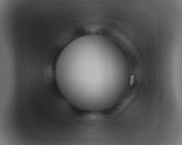 X0000103170420200808291514