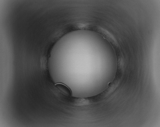 X0000103170421200808291514